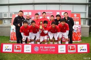 足球青训队爆料新闻报道,揭秘青训体系背后的真实情况